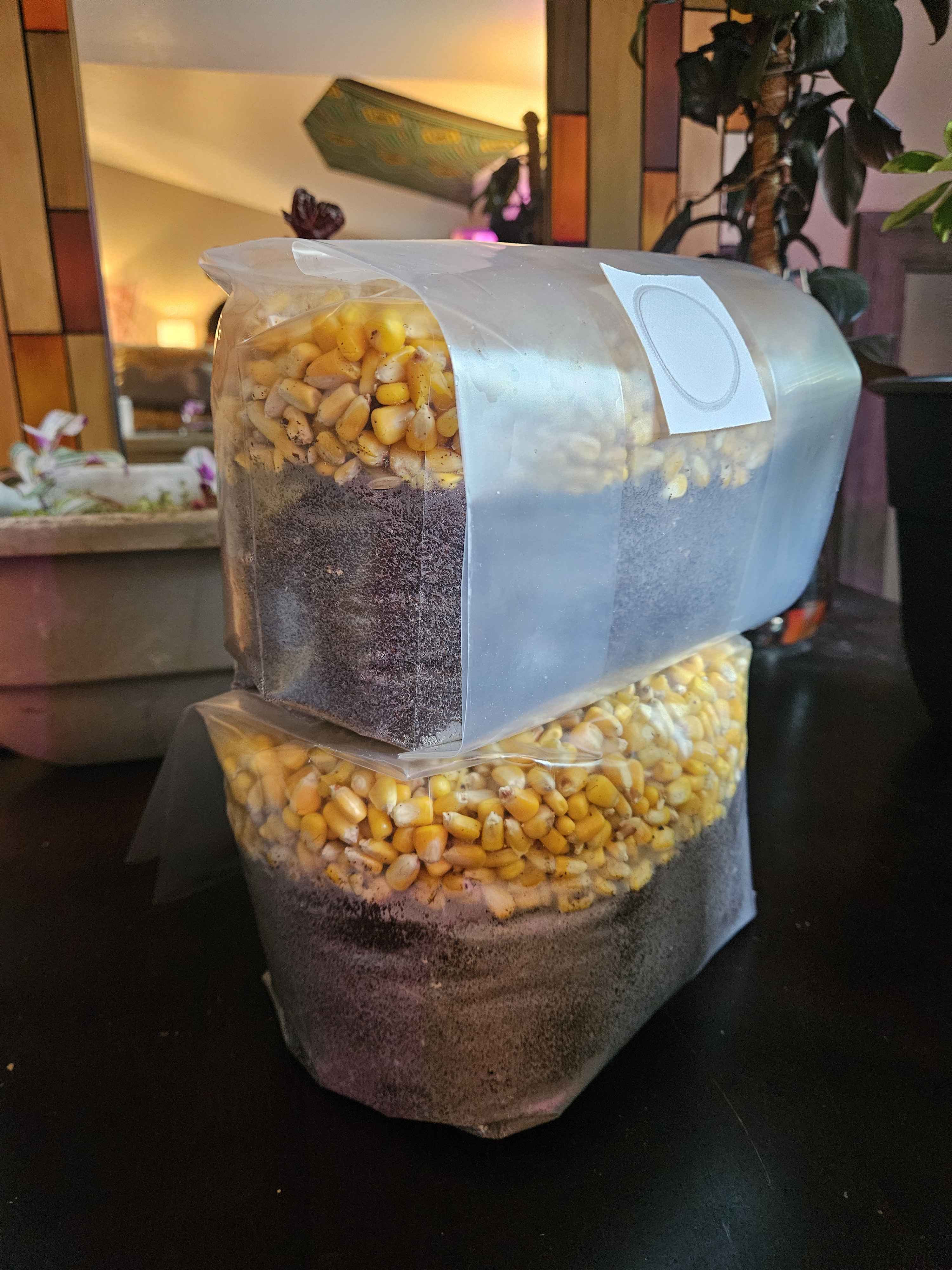 Corn All-in-One Bag