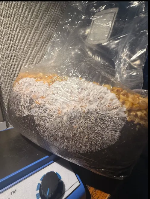 3 lb Grain Bag