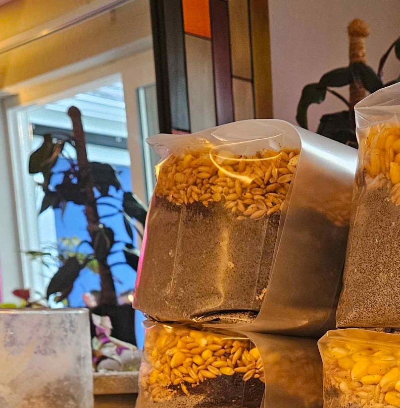 Oats All-in-One Bag